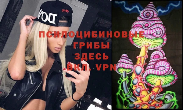 ПСИЛОЦИБИНОВЫЕ ГРИБЫ Лихославль