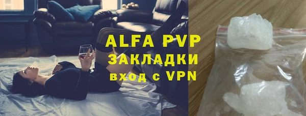 бошки Ладушкин