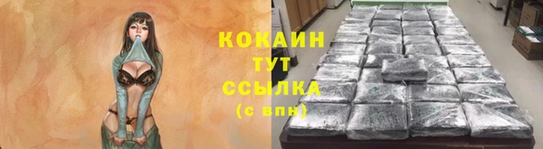 трава Лагань