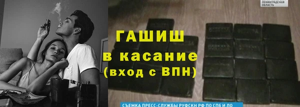 бошки Ладушкин