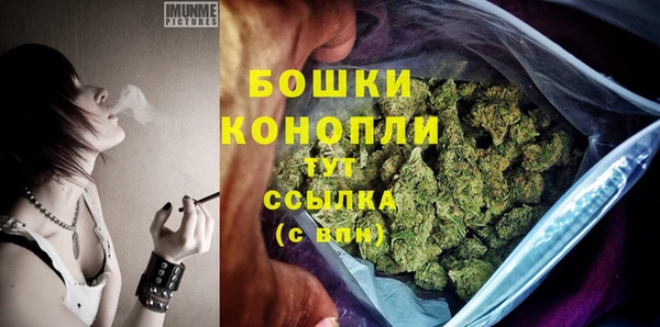 бошки Ладушкин