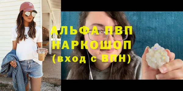 винт Лабытнанги