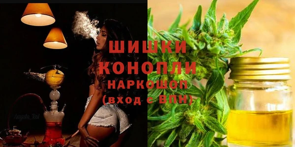 винт Лабытнанги
