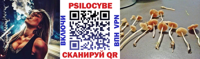 Купить закладки  Вязьма  Галлюциногенные грибы Psilocybe 